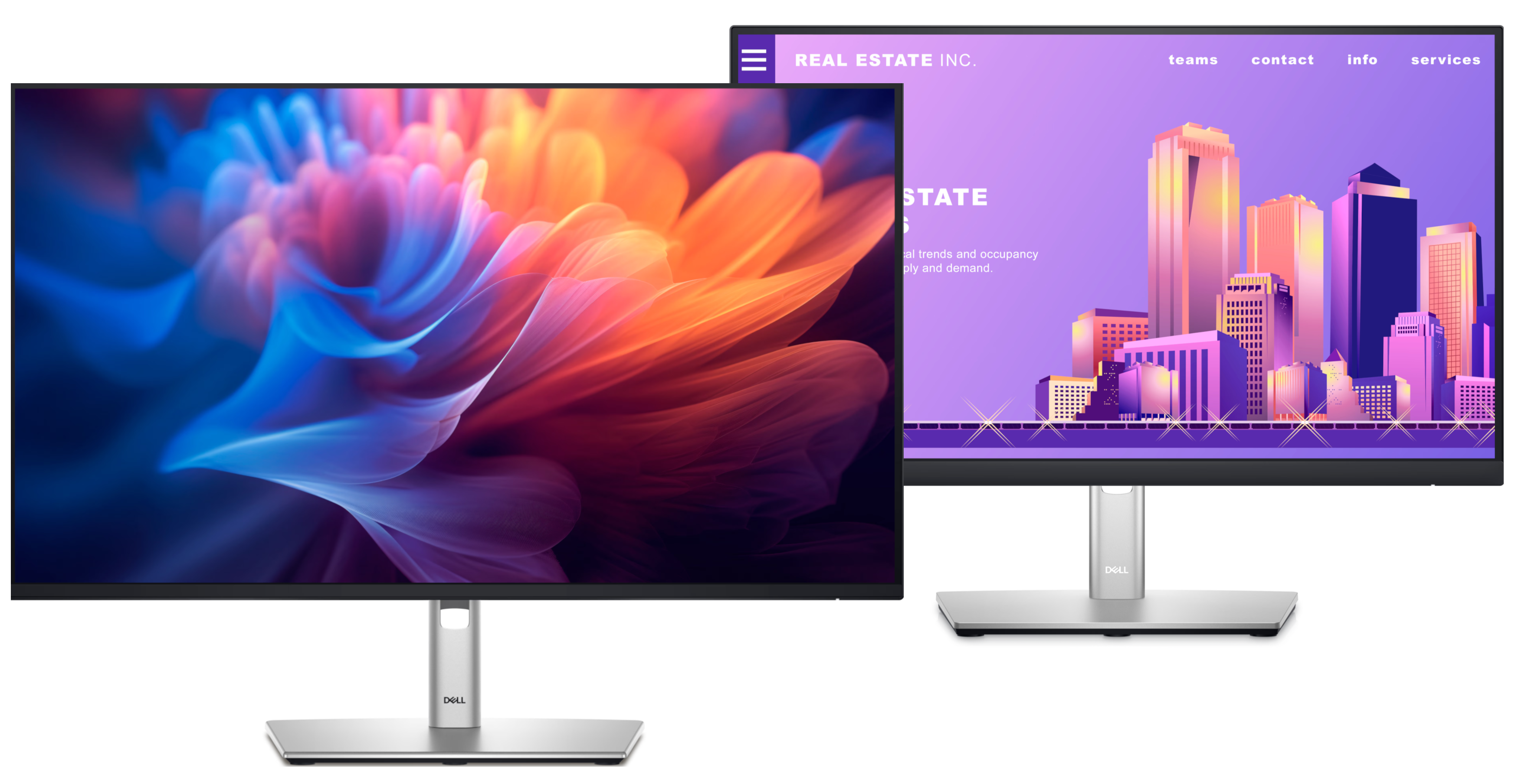 Dell P and E Series monitors family